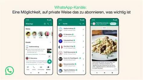 WhatsApp官网网页版使用指南 - 电脑版下载与登录同步教程