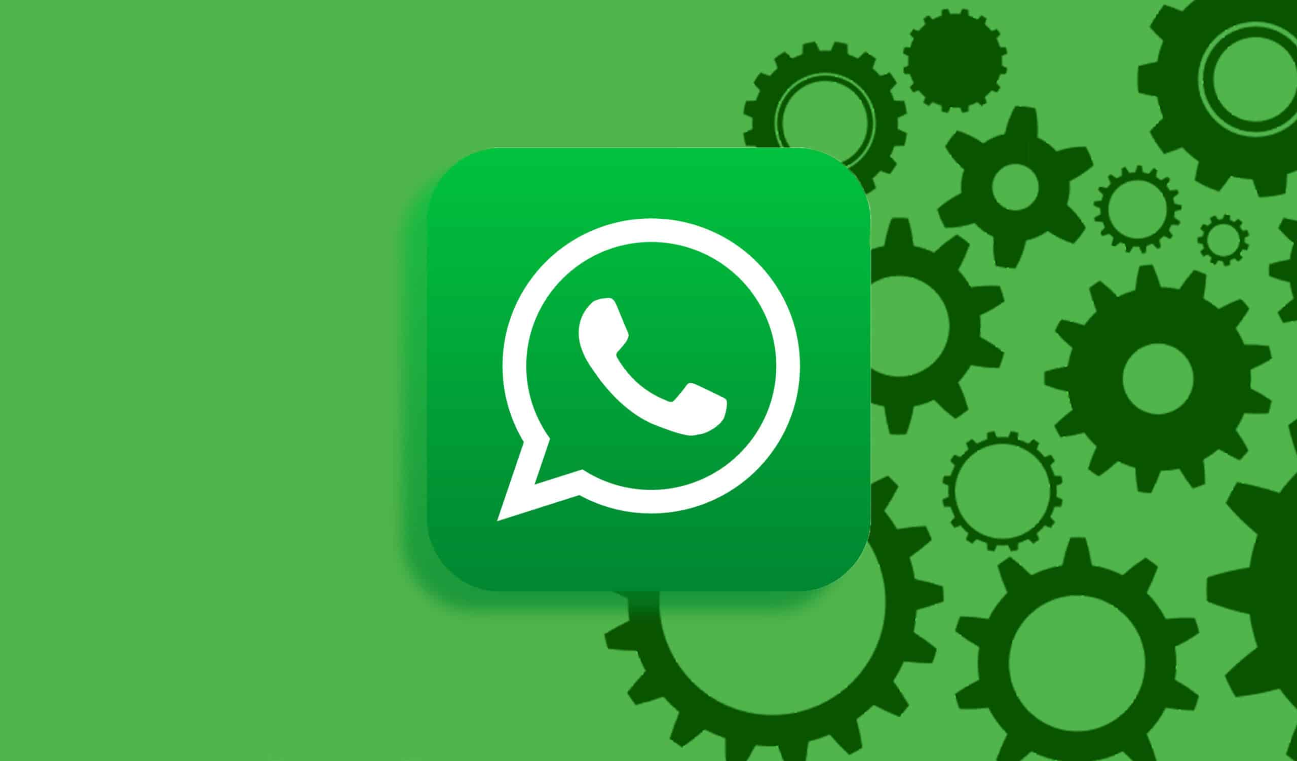 安卓用户必看!快速又安全的WhatsApp APK最新版下载指南